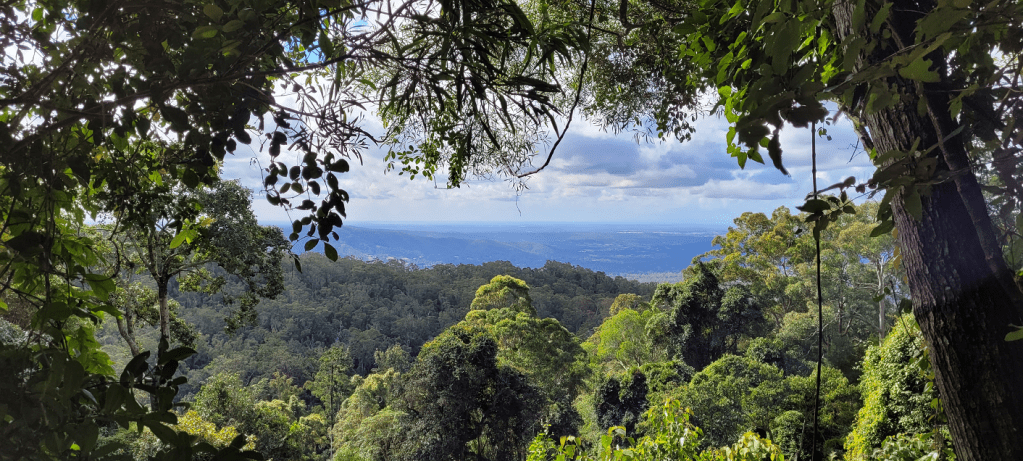 An image of south-east Queensland from the Thylogale Walking Track